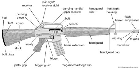 A depiction of a semi-automatic AR style rifle, with descriptive text pointing out the various parts of the rifle, such as the stock, trigger, barrel, muzzle, chamber (or breech), safety lever, and bolt.